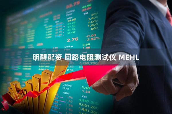 明醒配资 回路电阻测试仪 MEHL